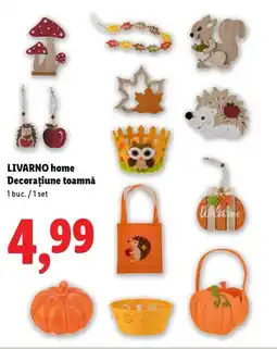 Lidl LIVARNO home Decorațiune toamnă Ofertă