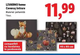 Lidl LIVARNO home Covoras intrare Ofertă