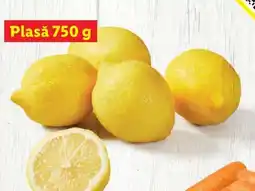 Lidl Lămâi Ofertă