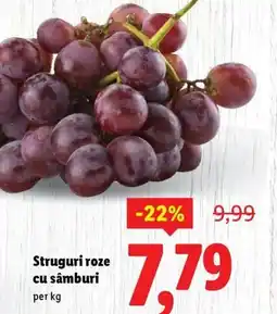 Lidl Struguri roze cu sâmburi Ofertă