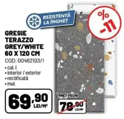 Ambient Gresie terazzo grey/white Ofertă