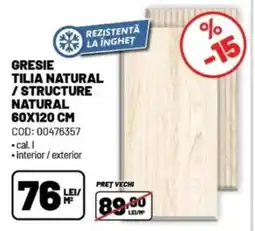 Ambient Gresie tilia natural / structure natural Ofertă