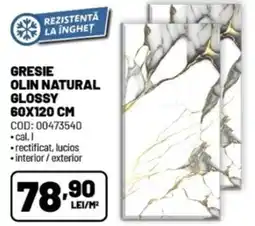 Ambient Gresie olin natural glossy Ofertă