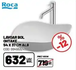 Ambient Lavoar bol ohtake Ofertă