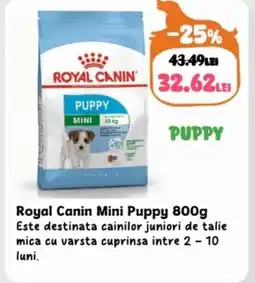 Animax Royal Canin Mini Puppy Ofertă