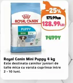 Animax Royal Canin Mini Puppy Ofertă
