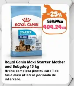 Animax Royal Canin Maxi Starter Mother and Babydog Ofertă
