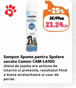 Animax Sampon Spuma pentru Spalare uscata Camon CAM-LA100 Ofertă