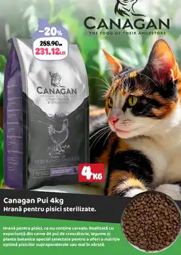 Animax Canagan Pui Ofertă