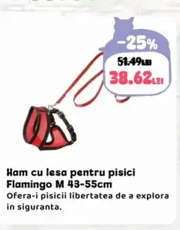 Animax Ham cu lesa pentru pisici Flamingo M Ofertă