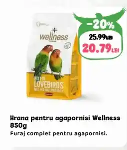 Animax Hrana pentru agapornisi Wellness Ofertă