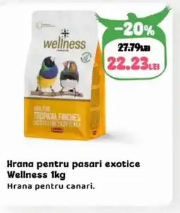 Animax Hrana pentru pasari exotice Wellness Ofertă