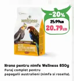 Animax Hrana pentru nimfe Wellness Ofertă