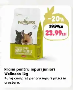 Animax Hrana pentru iepuri juniori Wellness Ofertă