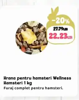 Animax Hrana pentru hamsteri Wellness Hamsteri Ofertă