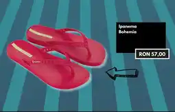 Hervis Ipanema Bohemia Ofertă