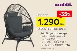 XXXLutz Fotoliu pentru lounge Ofertă