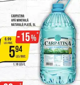 Mega Image CARPATINA Apă minerală naturală plată Ofertă