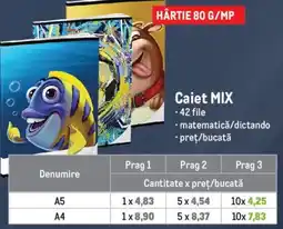 Metro Caiet Mix Ofertă