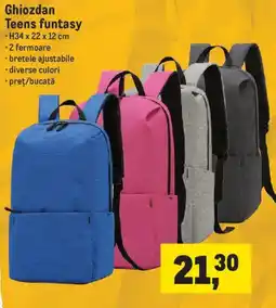 Metro Ghiozdan Teens funtasy Ofertă