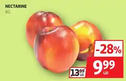 Auchan Nectarine Ofertă