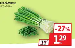 Auchan Ceapă verde legătură Ofertă