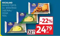 Auchan Hochland brânză topită cu smântână/ cascaval/ cedar Ofertă