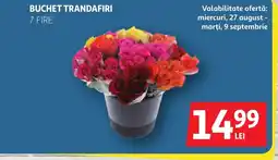 Auchan Buchet trandafiri Ofertă