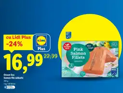 Lidl Ocean Sea Somon file sălbatic Ofertă