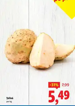Lidl Telinǎ Ofertă