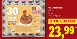 Lidl Ouă mărimea S Ofertă