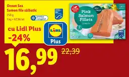 Lidl Ocean Sea Somon file sălbatic Ofertă