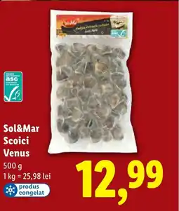 Lidl Sol&Mar Scoici Venus Ofertă