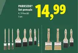 Lidl PARKSIDE Set pensule Ofertă