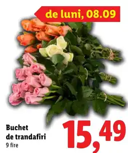Lidl Buchet de trandafiri Ofertă
