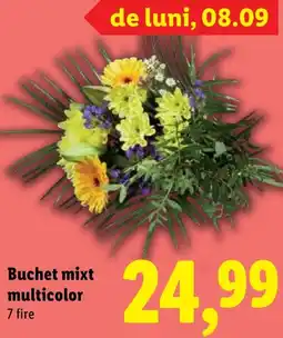 Lidl Buchet mixt multicolor Ofertă