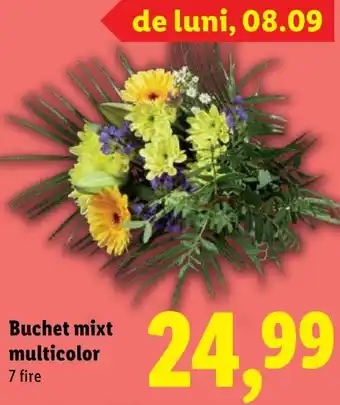 Lidl Buchet mixt multicolor Ofertă