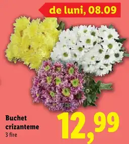 Lidl Buchet crizanteme Ofertă