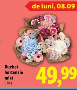 Lidl Buchet hortensie mixt Ofertă