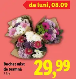 Lidl Buchet mixt de toamnă Ofertă
