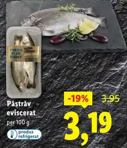 Lidl Păstrăv eviscerat Ofertă