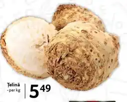 Selgros Telinǎ Ofertă