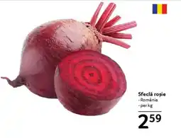 Selgros Sfeclă roșie Ofertă