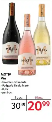 Selgros MOTIV Vin Ofertă