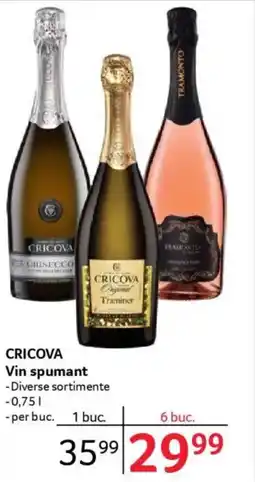 Selgros CRICOVA Vin spumant Ofertă