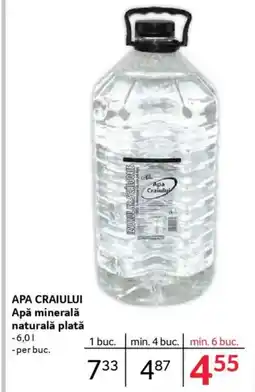 Selgros APA CRAIULUI Apă minerală naturalǎ plată Ofertă