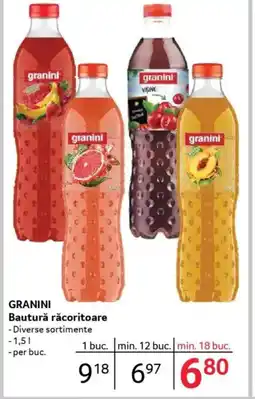 Selgros GRANINI Bautură răcoritoare Ofertă