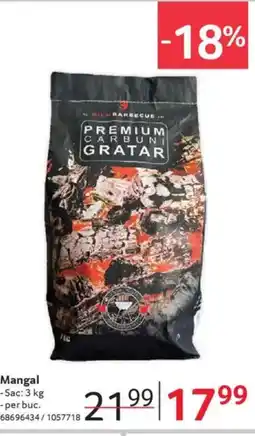 Selgros Mangal Ofertă