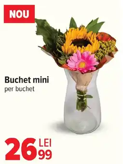 Carrefour Buchet mini Ofertă