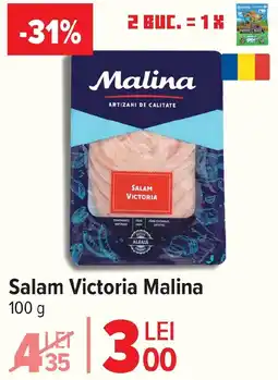 Carrefour Salam Victoria Malina Ofertă